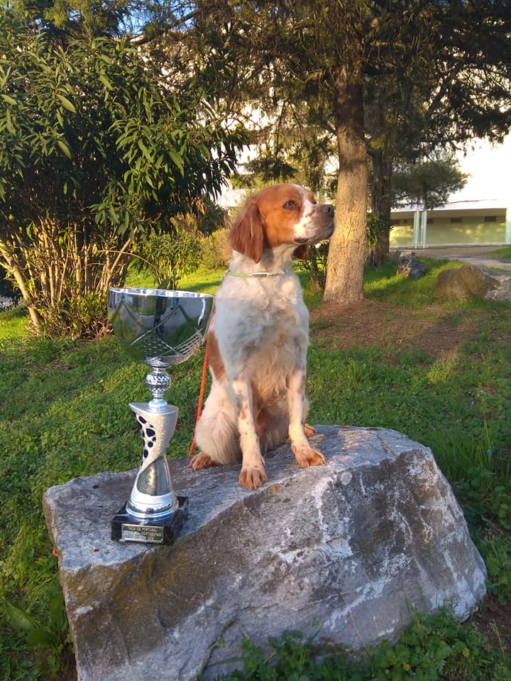 Resultados Taça de Portugal de Primavera - 2019