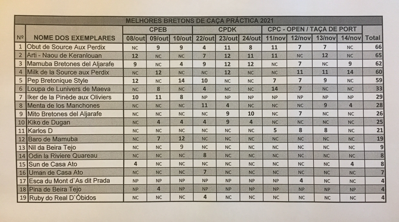 Ranking do Epagneul Breton Caça Práctica 2021