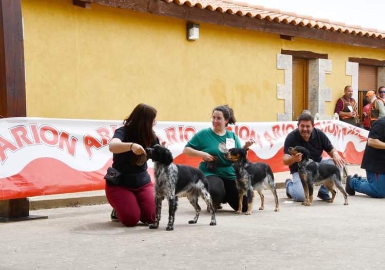 Resultados beleza