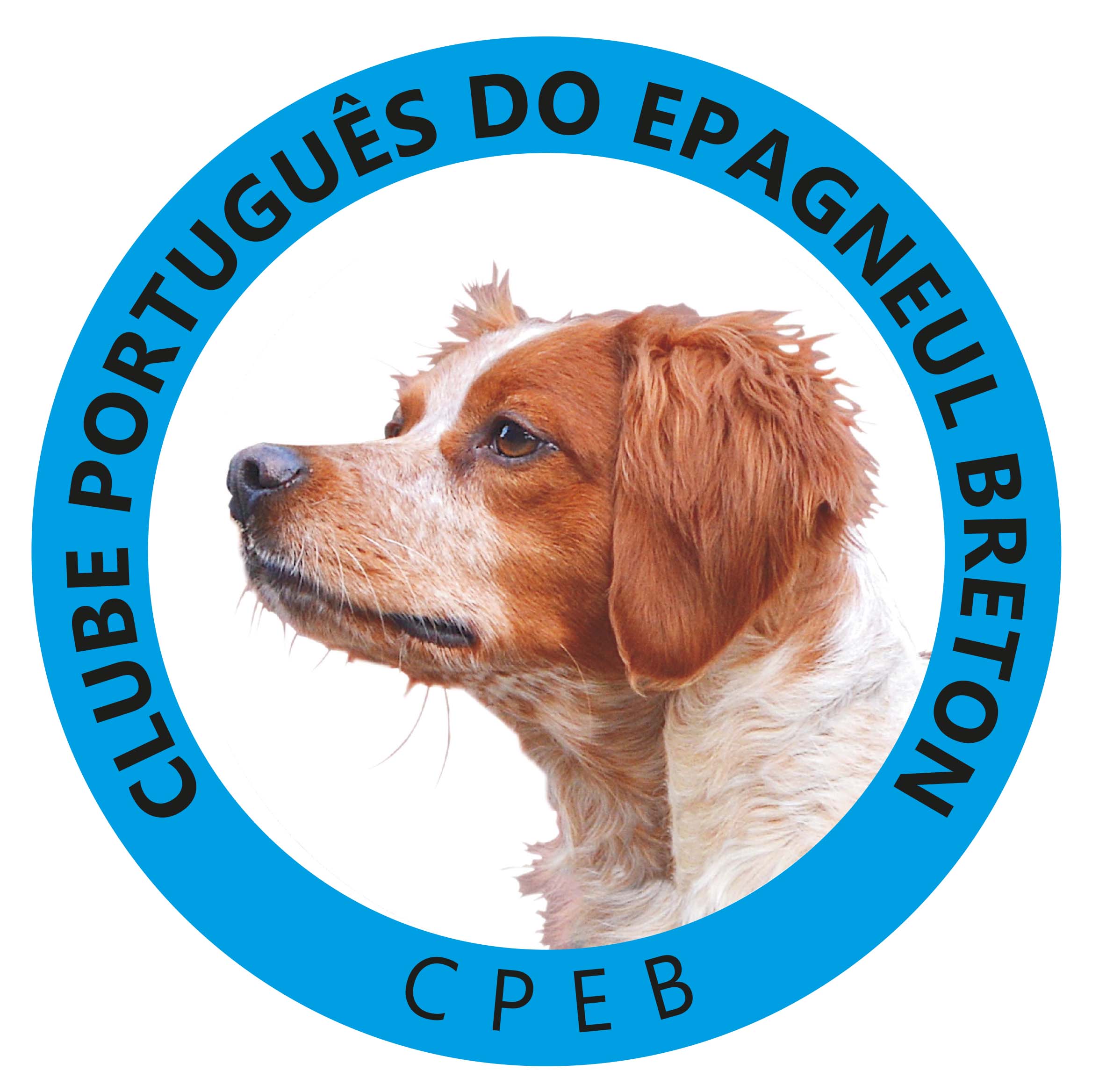 CRITÉRIOS DE SELECÇÃO PARA O CAMPEONATO DO MUNDO DE CAÇA PRÁCTICA DO AICEB 2025 - REP. CHECA