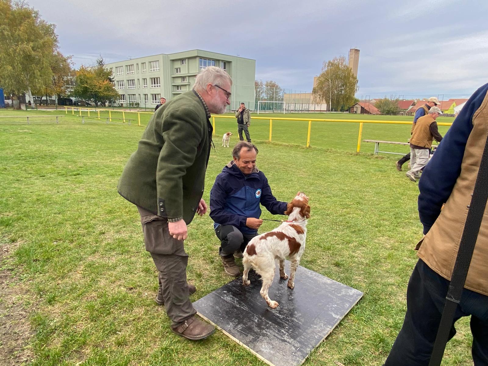 4bb53c54-6233-469a-80bc-9912f3b9cd5e