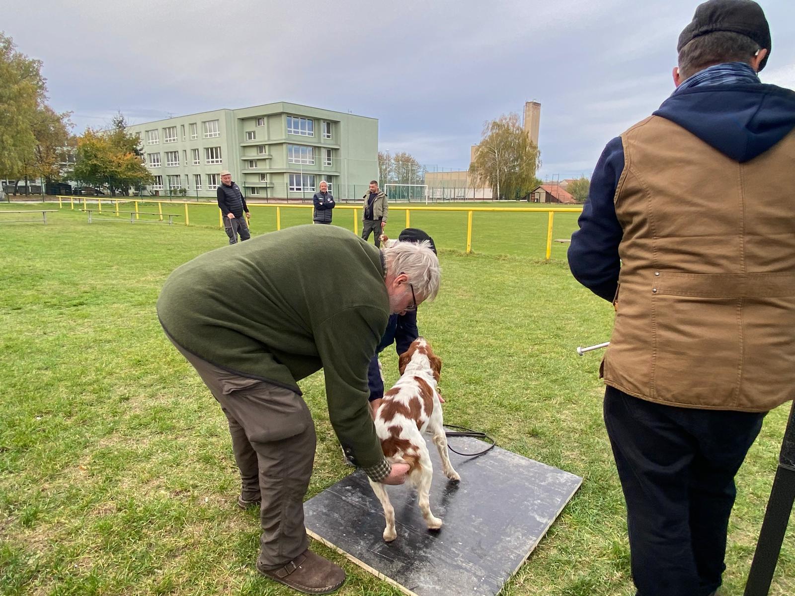 50b0e68a-039e-4fe8-92aa-5134a963f5ed