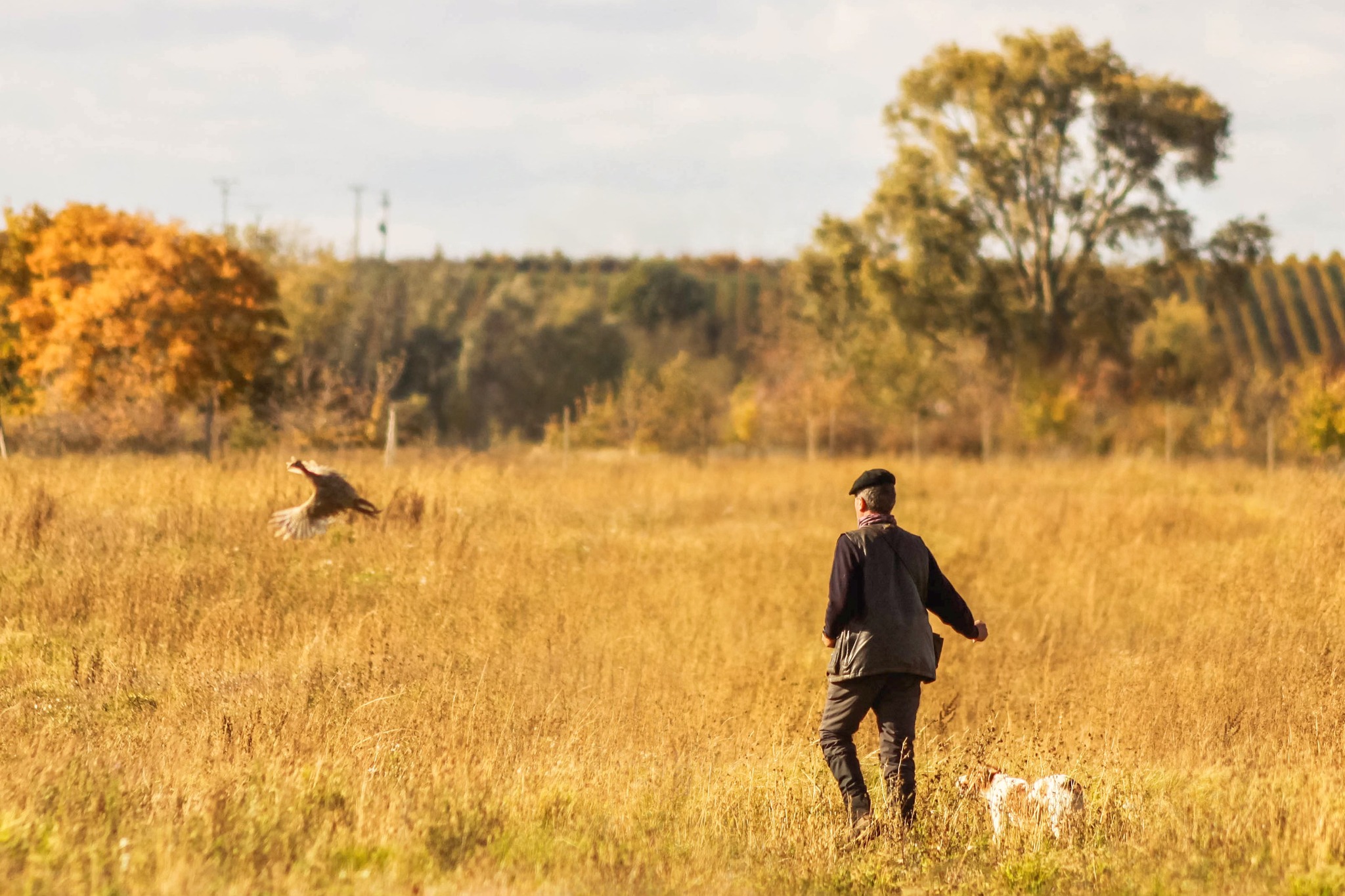 571503686_747170578334998_9145652821117153255_n