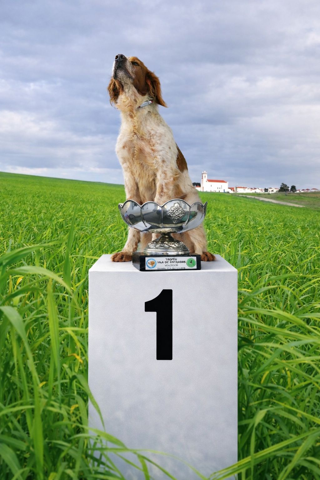 638115536_3813636458771634_5954525798280526006_n